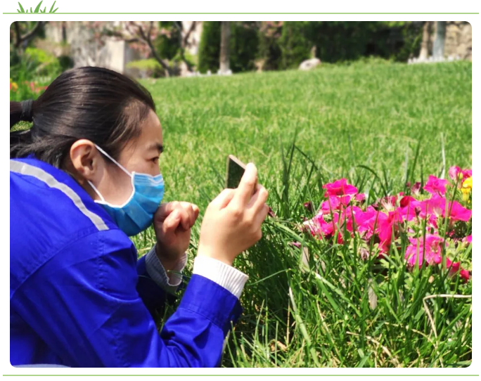 【重山影像】共享重山夏日美景