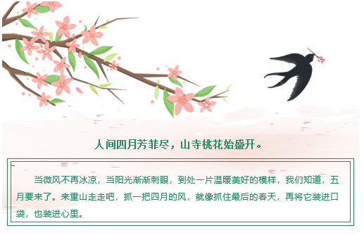 【重山影像】重山芳菲初夏近，萬物逢時(shí)皆美好