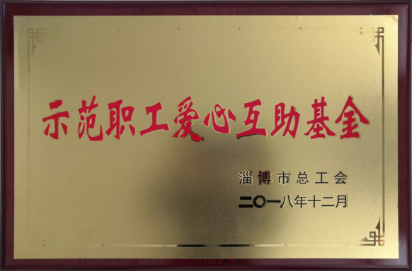 集團(tuán)榮獲“示范職工愛(ài)心互助基金”榮譽(yù)稱(chēng)號(hào)